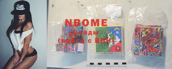 стаф Пересвет