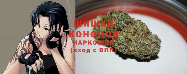 стаф Пересвет