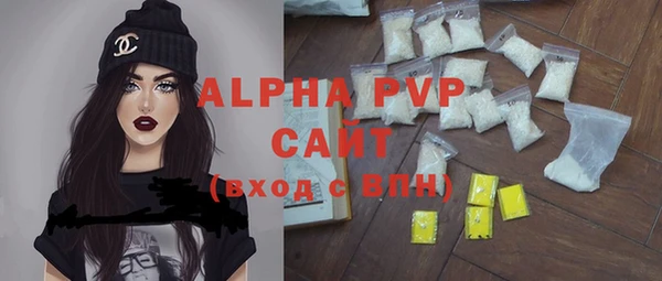стаф Пересвет