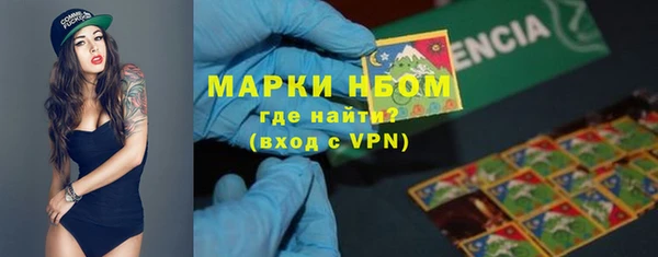 стаф Пересвет