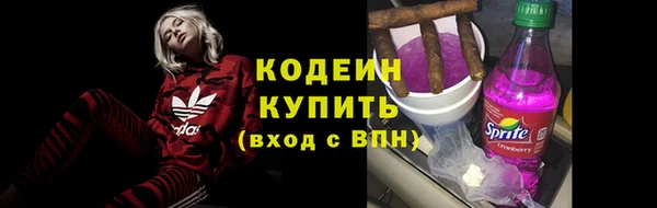 стаф Пересвет