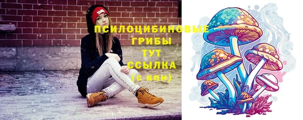 стаф Пересвет