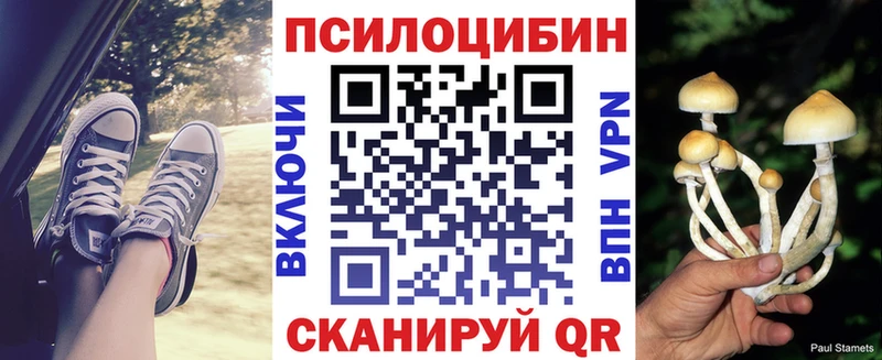 где продают Миньяр Псилоцибиновые грибы мухоморы
